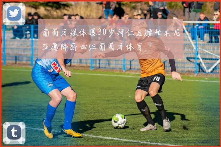 葡萄牙媒体曝30岁拜仁后腰帕利尼亚愿降薪回归葡萄牙体育